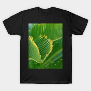 Tropical Palm Leaves T-Shirt